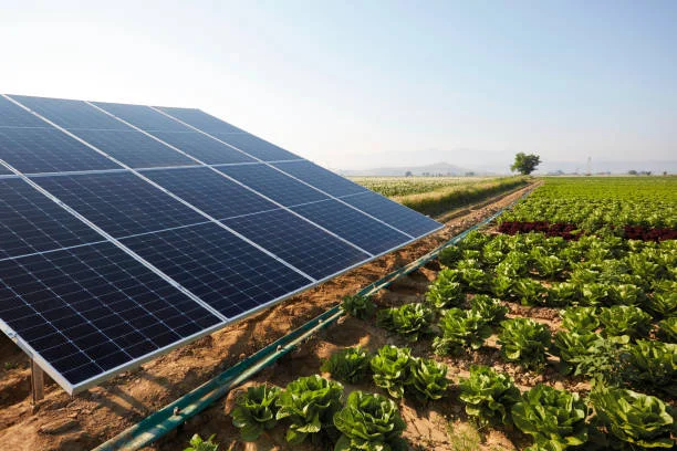 Solar Energy Promote The Use Of Solar Energy In Agriculture