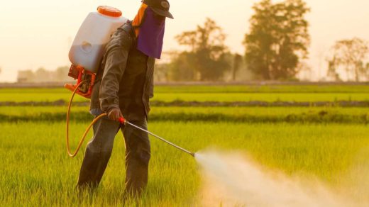 pesticides