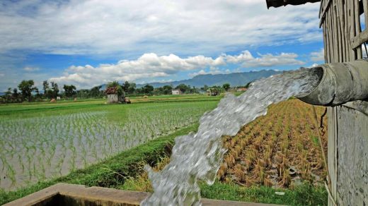 critical stages
