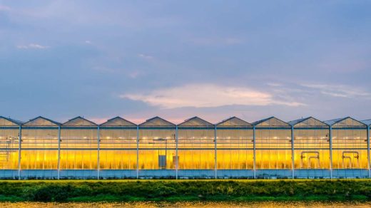 Hi-Tech agriculture
