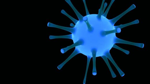 Bacillus Thuringiensis
