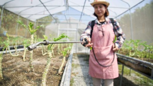 biofertilizer