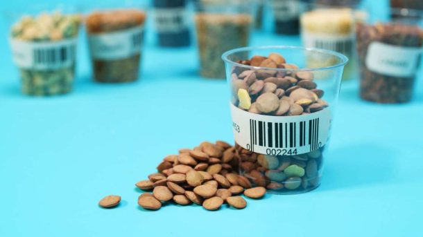 seed certification