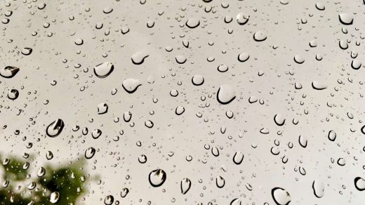 acid rain