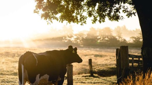 farming systems
