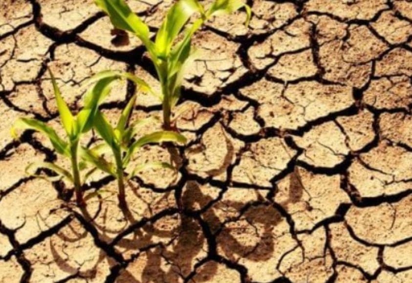 dry-land-farming-what-is-dry-land-farming