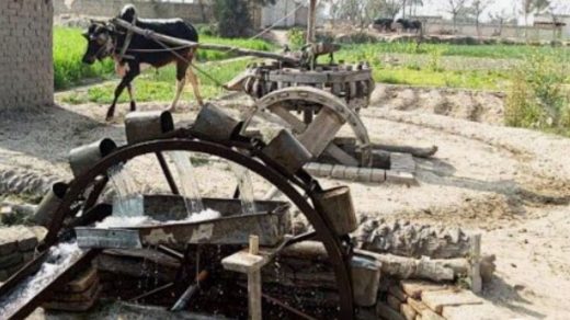 irrigation