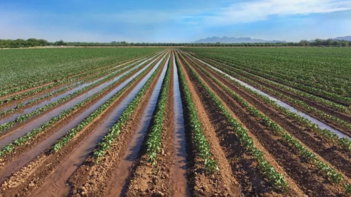 furrow irrigation and what is the slope and spacing