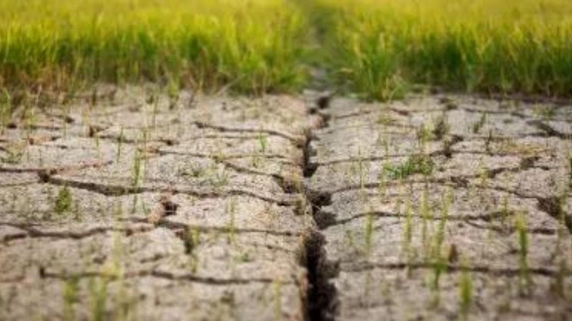 What Are The Causes Of Soil Degradation Pdf