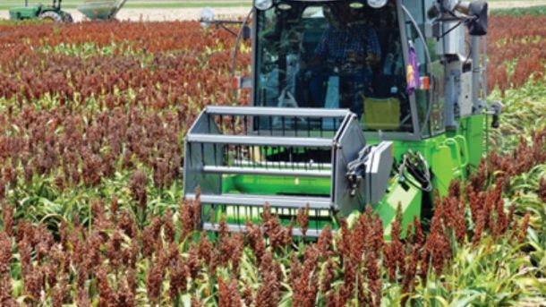 harvest