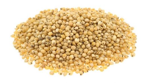 seed rate