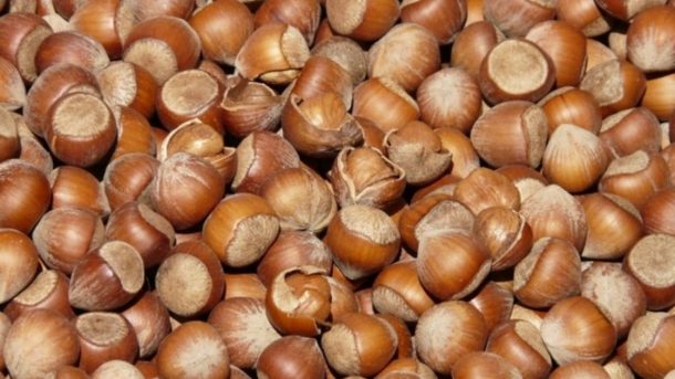 Hazelnuts