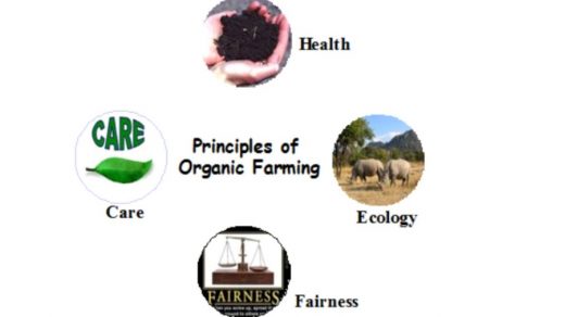 principles