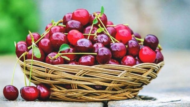 Cherry Fruit Cultivation