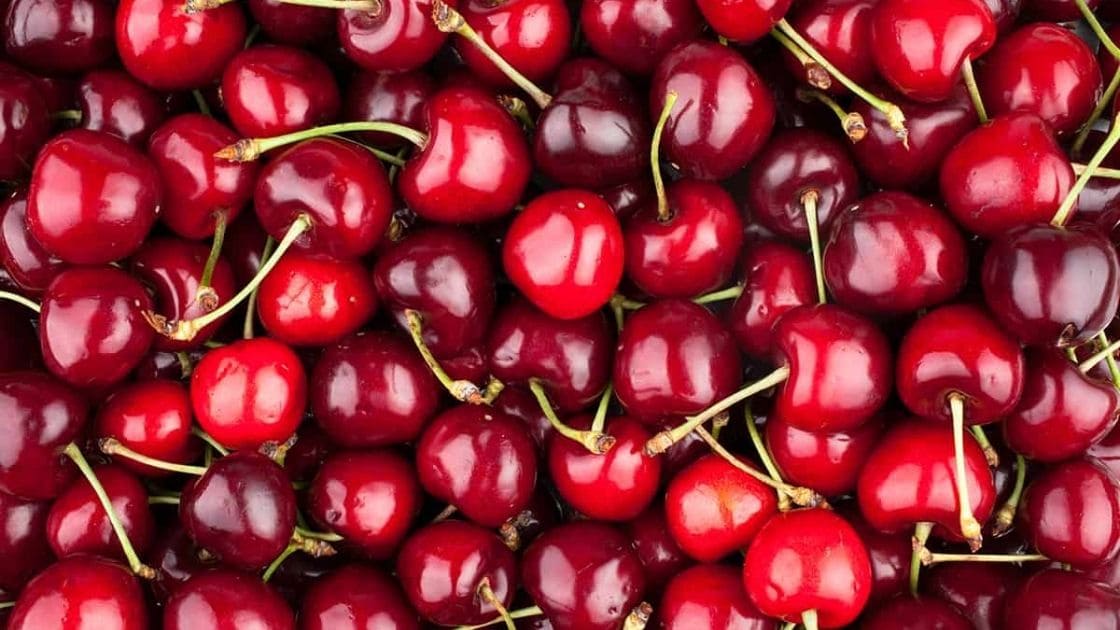 Dwarf :- When and How to Harvest Dwarf Cherries?