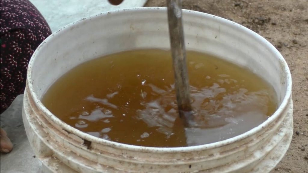 cow urine :- Role of cow urine in Agriculture practice