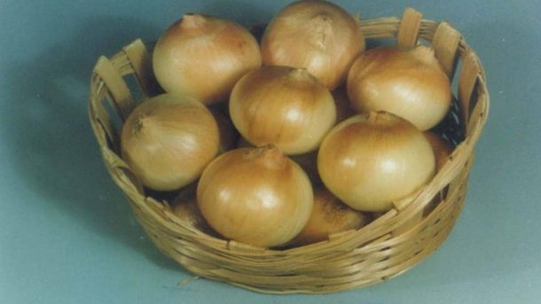 onion-Arka pitamber