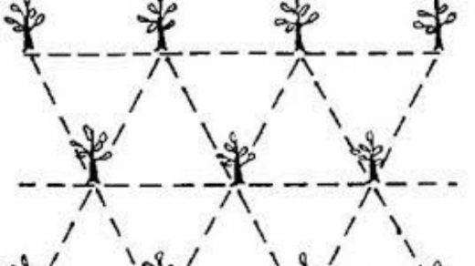 triangular