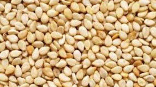 seed