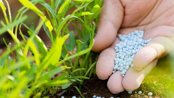 Fertilizers