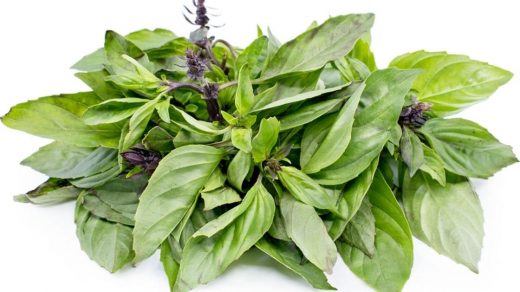 Thai Basil