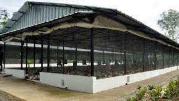 poultry house
