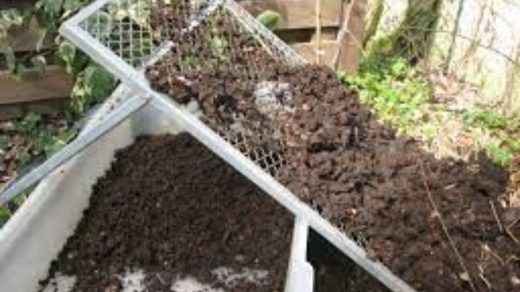 parthenium compost