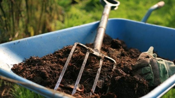 parthenium compost