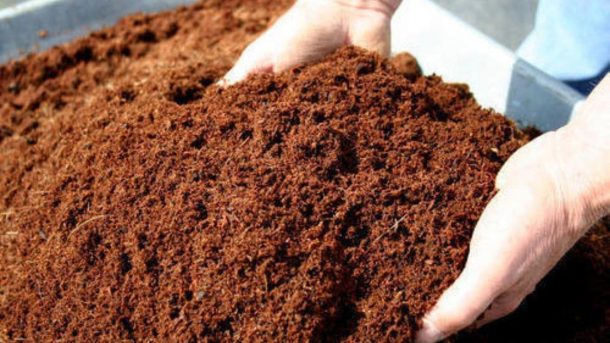 Coir Pith
