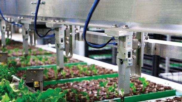 Transplanting