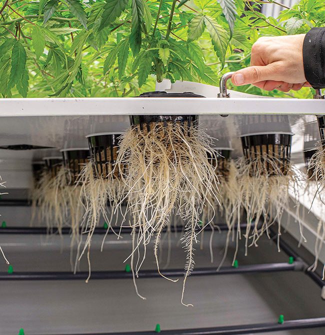 What is Aeroponics