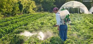 Fumigation