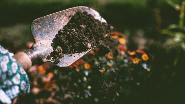 soil conservation