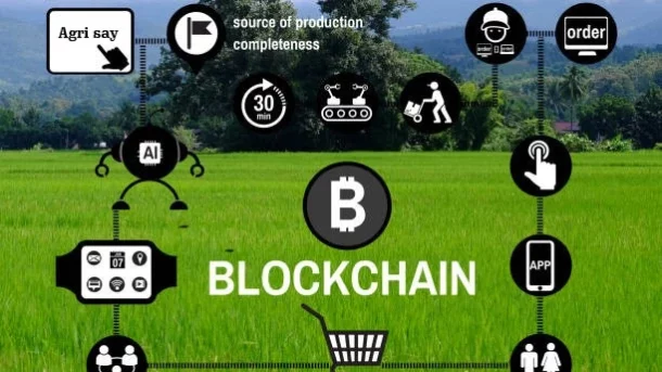 agricultural supply chain