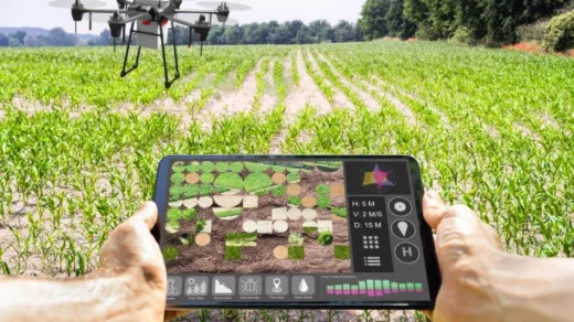precision agriculture