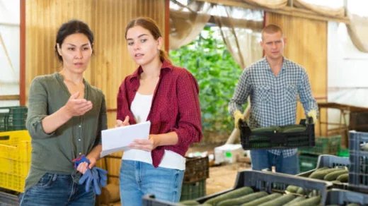 Agricultural Export Policy