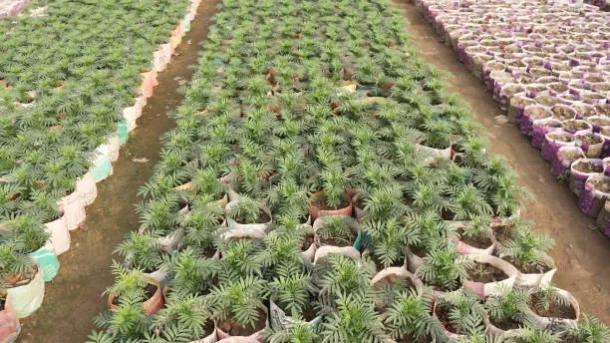 Agricultural Marketing Infrastructure