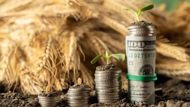 Interest Subvention Scheme