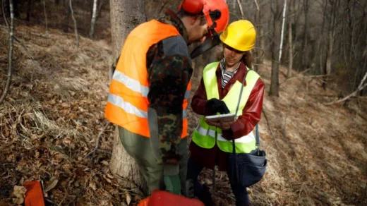 Sustainable Forest Management