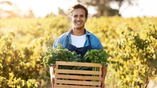 agribusiness development