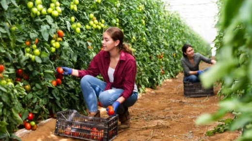 agricultural productivity