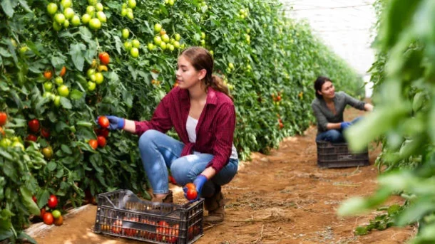 agricultural productivity