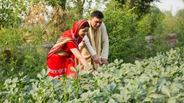 agriculture
