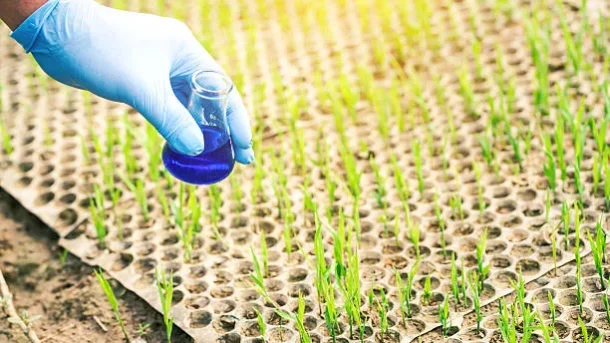 How Can The Application Of Nanofertilizers Enhance Nutrient Uptake By