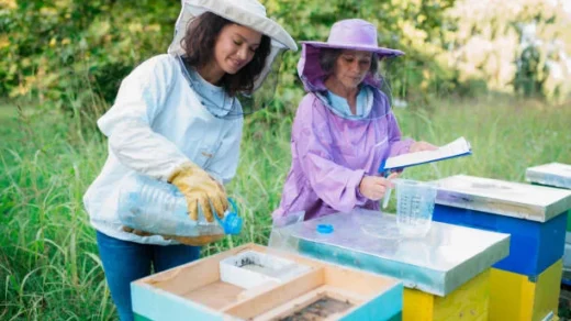 promote beekeeping