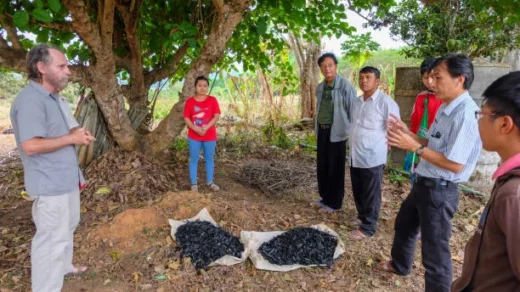 biochar in soil