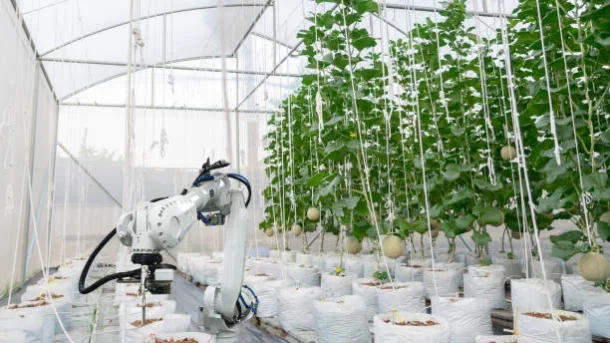 robots in agriculture
