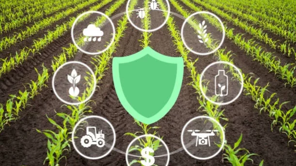 biochar