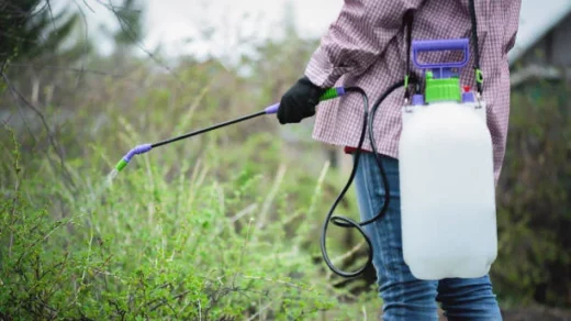 chemical fertilizers