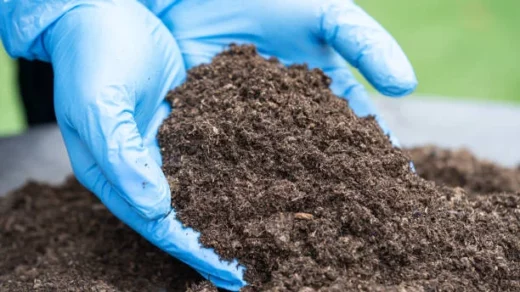 soil fertility